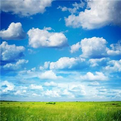 乐鱼体育app截图